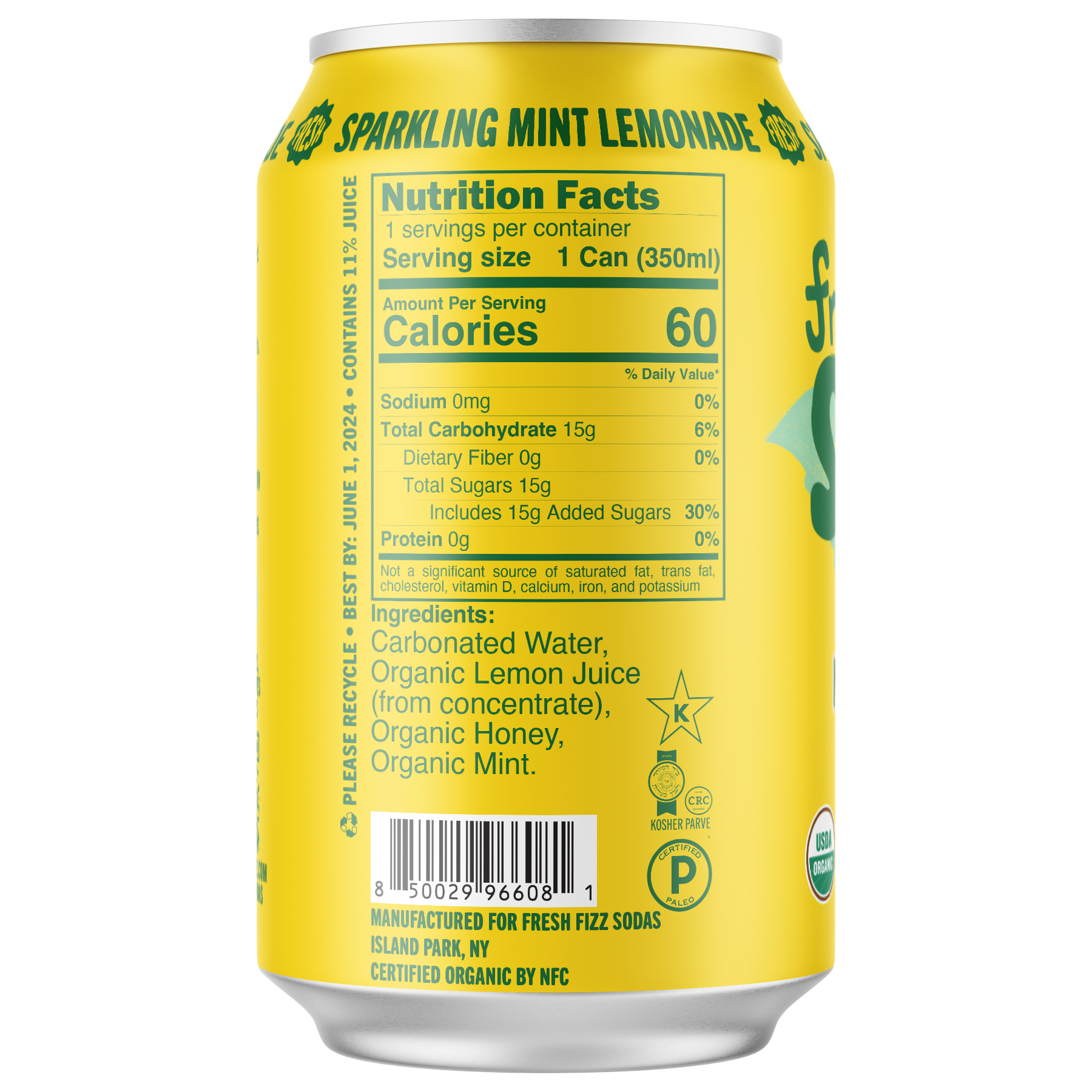 Fresh Fizz Sparkling Mint Lemonade - Natural Soda (12-Pack ...
