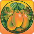Sixpoint Brewery Mango Resin